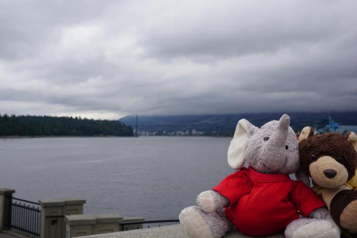 Aussichten aus dem Stanley Park im Regen