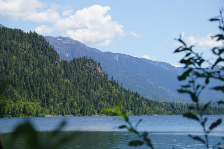 Picknick mit Kröten